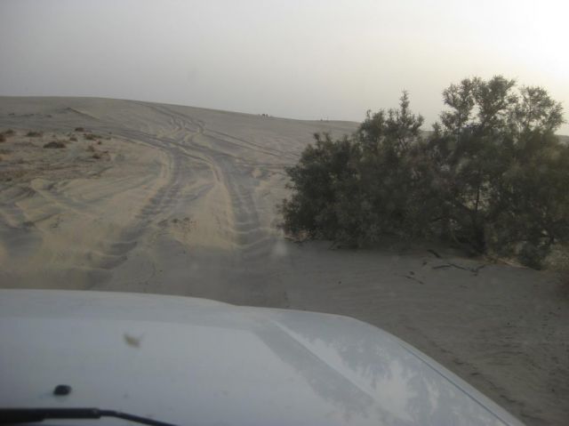 i/Family/Djerba/Safari - Djerba 2009 198.jpg_640.jpg